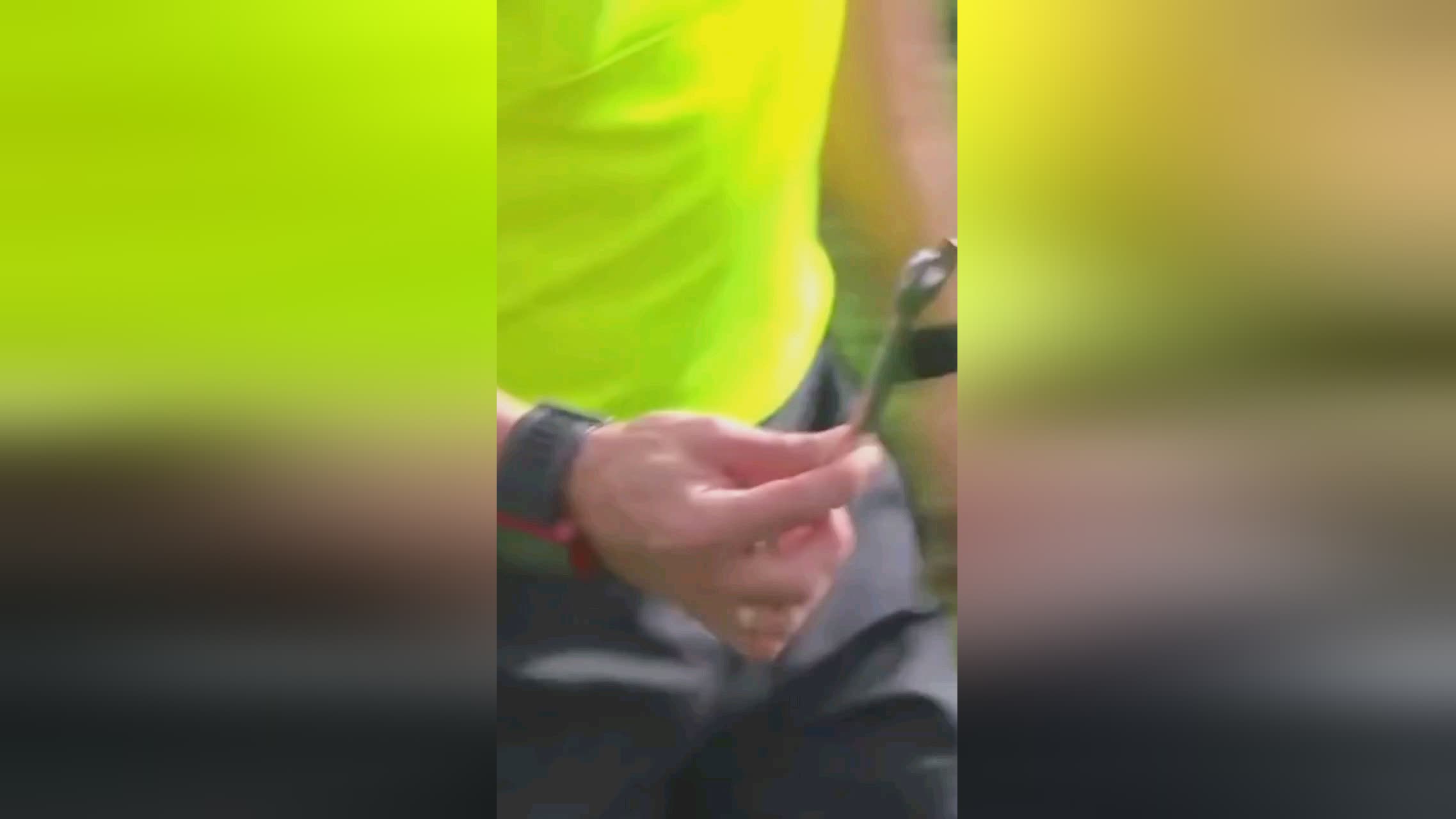 詹姆